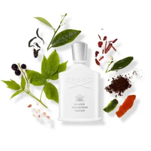 Creed – Silver Mountain Water