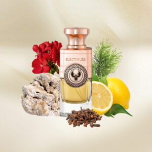 Electimuss – Auster