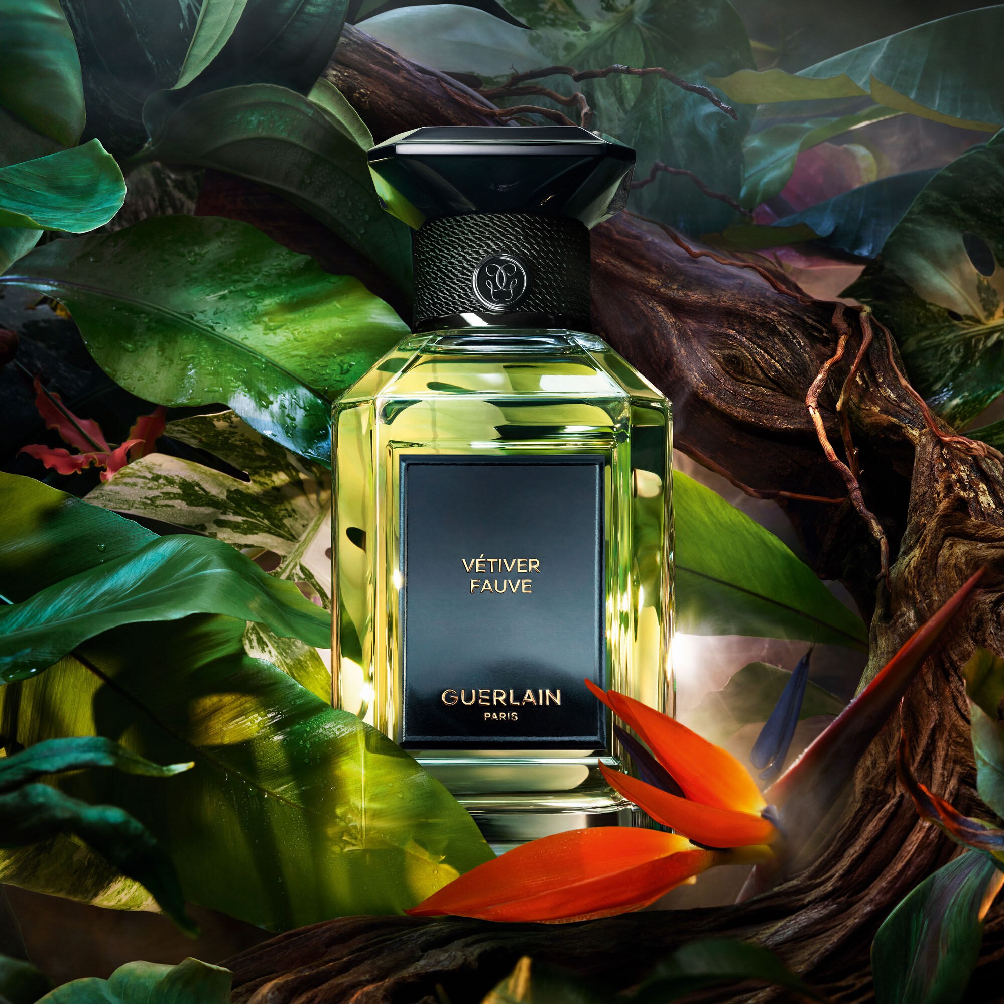 Guerlain – Vetiver Fauve