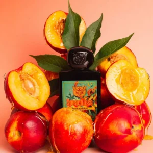 Lorenzo Pazzaglia – Speachless 2025